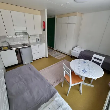 Big Zander Punkaharju Room photo